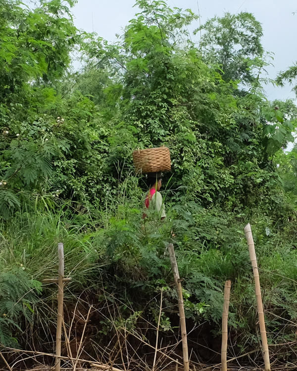 Indigenous Farming