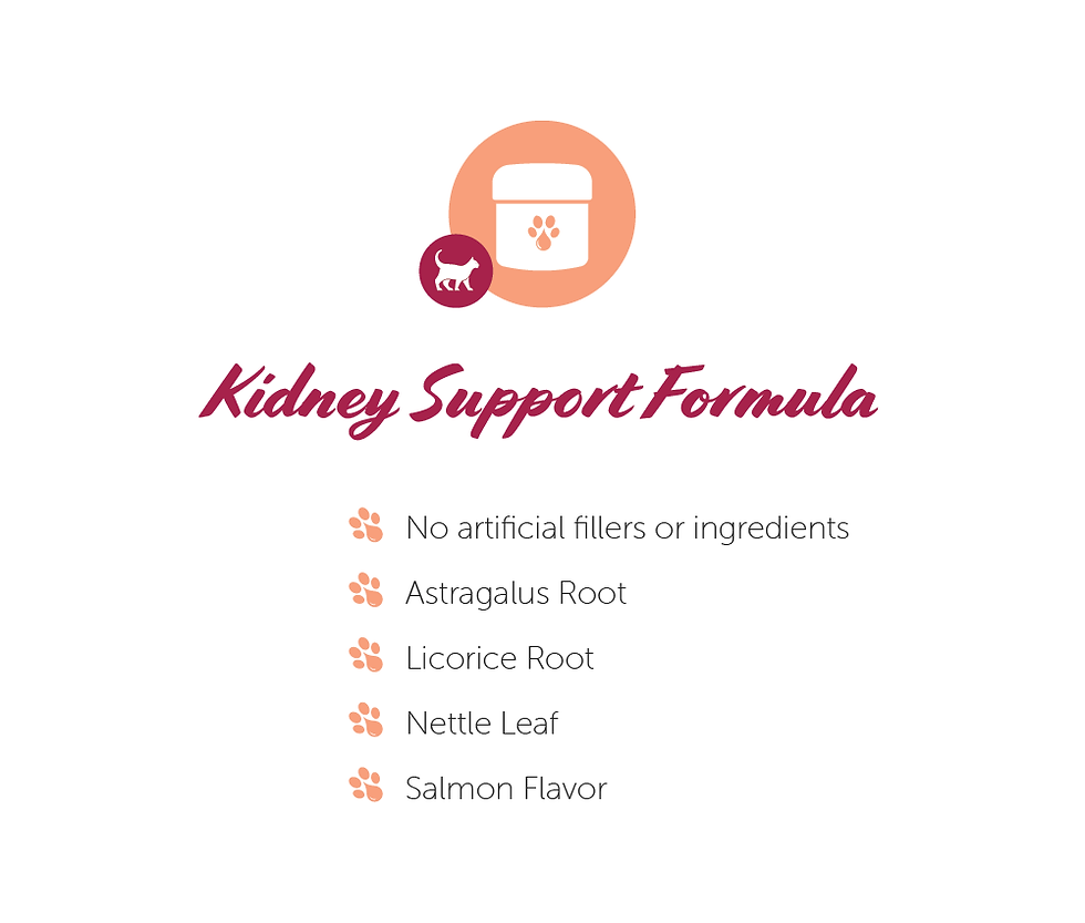 Thumbnail: Pet CBD Kidney Support Soft Chews for Cats SALMON 150 COUNT