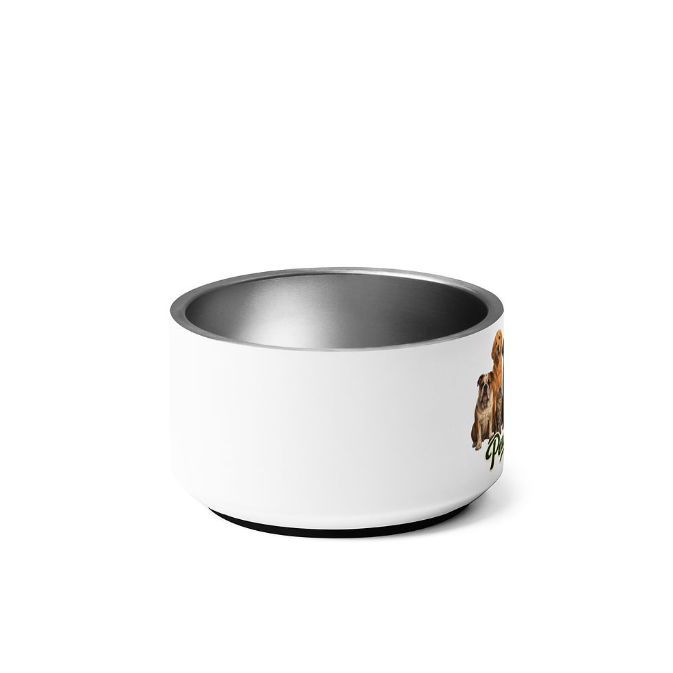 Thumbnail: Paws & Relax pet bowl