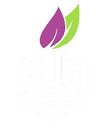 CCP logo white