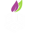 CCP logo white