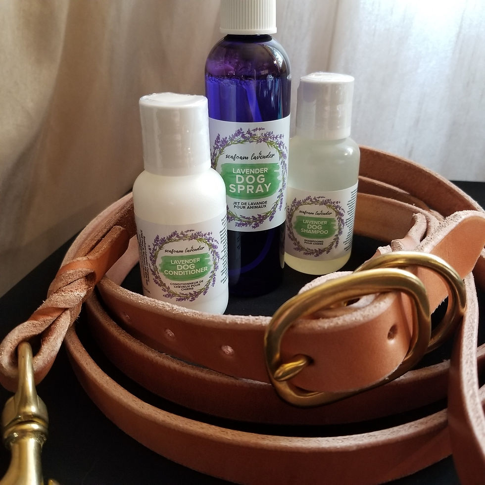 Thumbnail: Dog Lover Gift Set