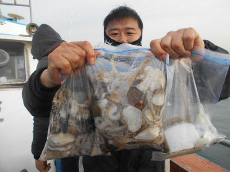 11월 23일 영동1호 쭈꾸미 갑오징어 조황