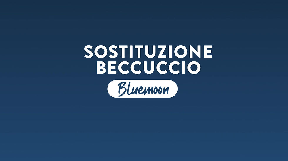 Miniaturbild: Bluemoon Borbone Kaffeemaschine