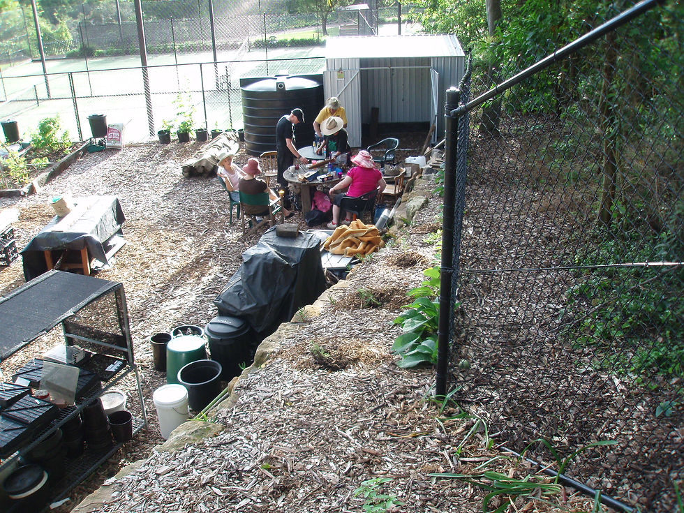 Meeting pre-pergola