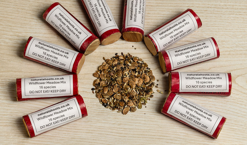 a circle of upcycled shotgun cartridges containing wildflower seeds