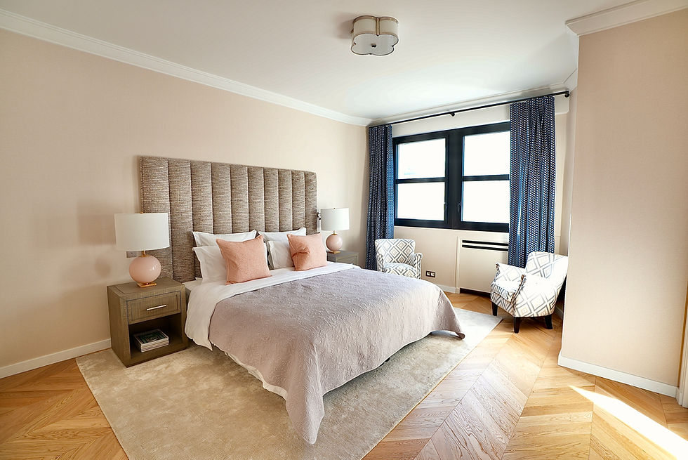 Luxury Apartment in Paris