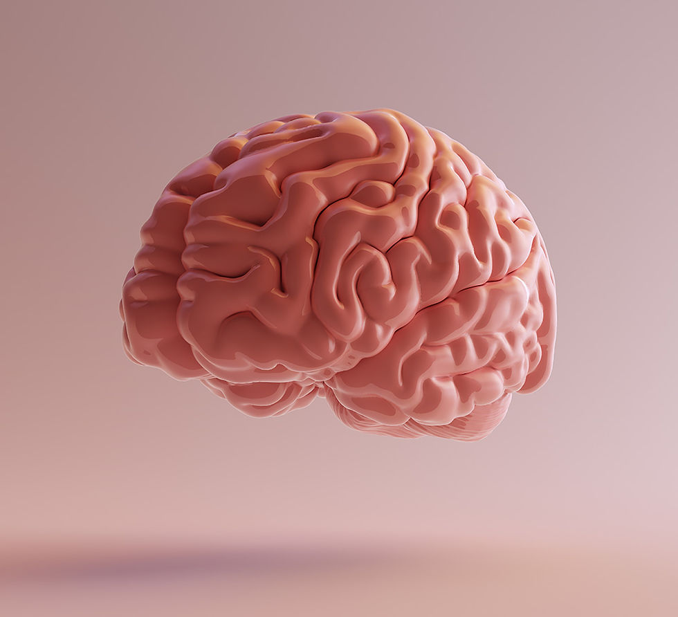 Research shows that prolonged exposure to lead can reduce a child’s IQ by 5-10 points