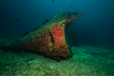 Barco hundido cubierto de algas y coral rojo en el fondo del mar. Agua azul oscura, ambiente silencioso y misterioso. Pequeños peces alrededor.