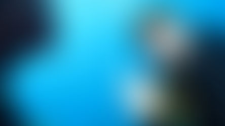 Scuba diver underwater, wearing a mask and giving an OK sign. Vibrant blue water, coral, and fish surround them, evoking a serene mood.