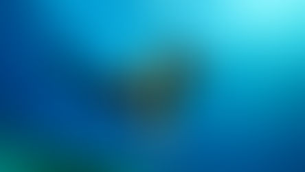 a diver on a cancun scuba diving trip in mexico