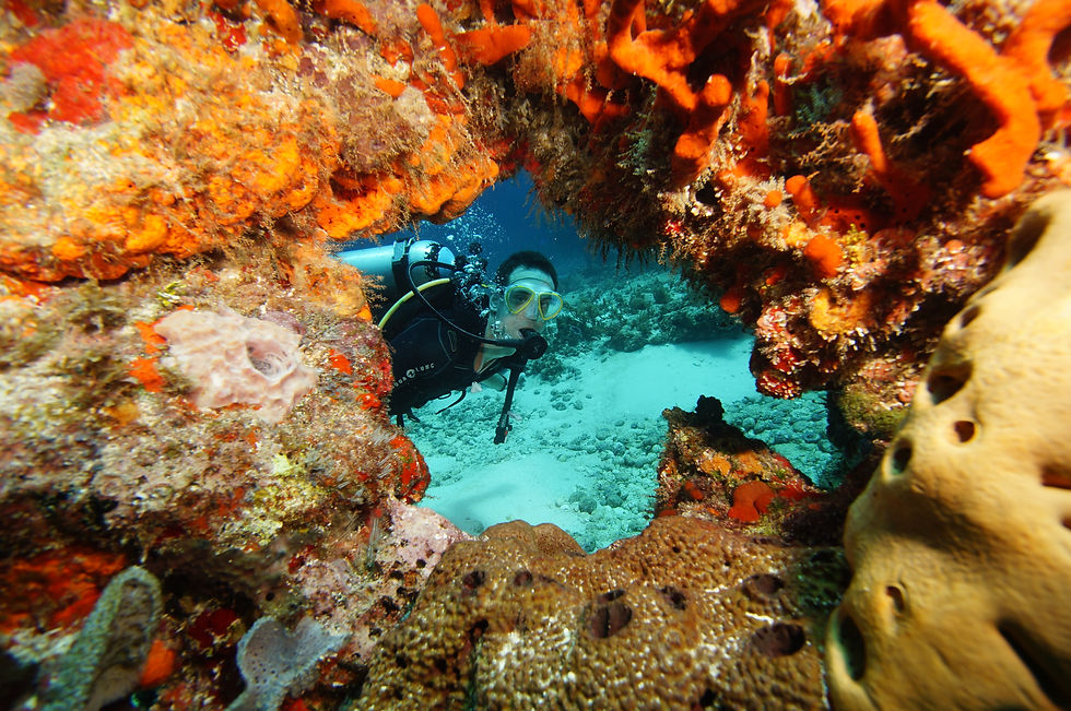 Scuba diver among vibrant coral reefs, wearing yellow goggles. Bright orange corals frame the scene, creating a vivid underwater landscape.