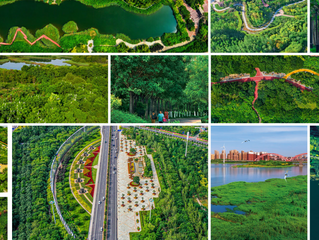 La Ecociudad de Tianjin: 15 años del nacimiento de la única Ciudad Ecológica del mundo