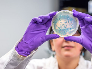 DEMOSTRANDO CON EVIDENCIA QUE LA ACUPUNTURA PUEDE AYUDAR A MEJORAR LA MICROBIOTA
