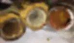 A view into Flint drinking water pipes, showing various types of iron corrosion and rust. Source: Min Tang and Kelsey Pieper