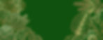 banner.jpg