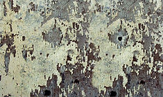 Bark