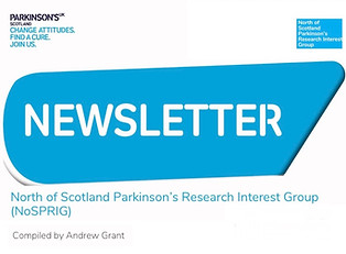 NoSPRIG newsletter masthead.jpeg