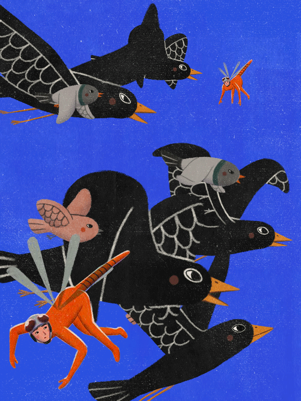 Birds