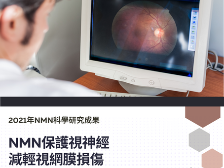 NMN保護視神經,減輕視網膜損傷