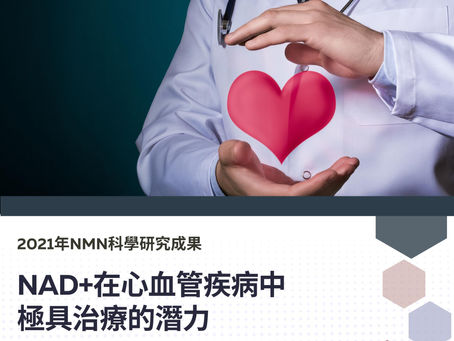 NAD+在心血管疾病中極具治療的潛力