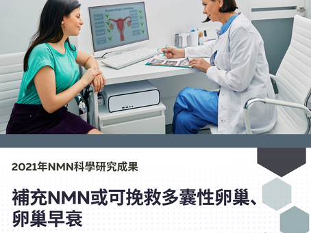 補充NMN或可挽救多囊性卵巢、卵巢早衰