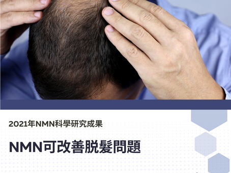 NMN可改善脱髮問題