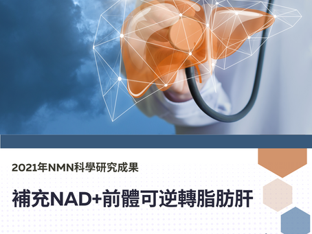 補充NAD+前體可逆轉脂肪肝