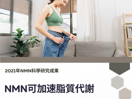 NMN可加速脂質代謝
