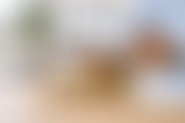 A importância da disciplina nos aportes para o crescimento patrimonial