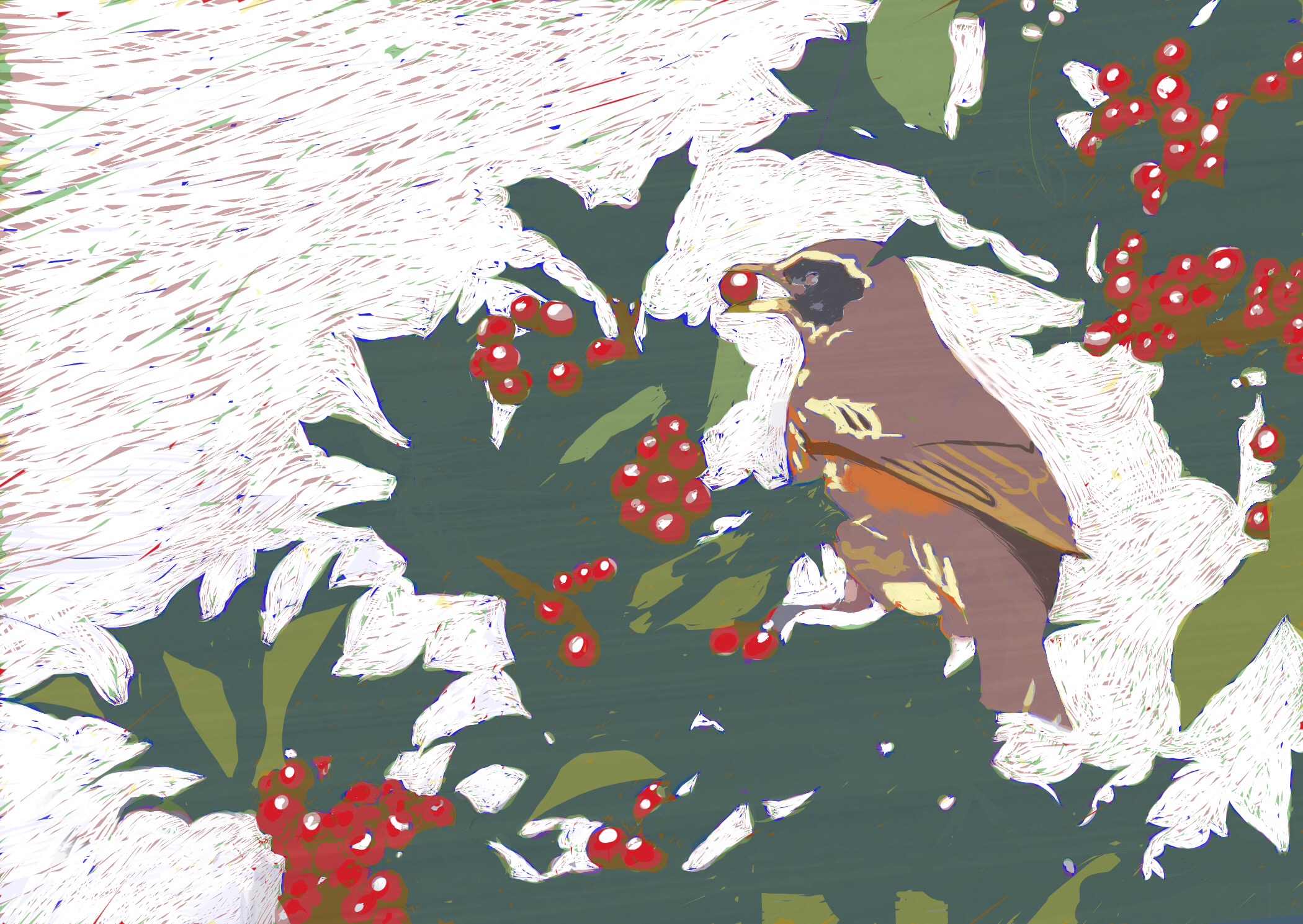 Redwing on Holly