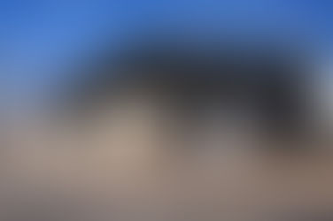 Â MacKenzie Scott donates $100,000 to Bobcats Belong