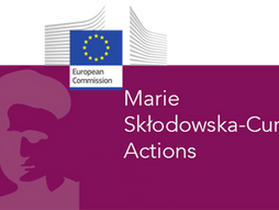 Postdoctoral fellowships in France