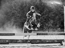 WhatsApp Image 2024-10-16 at 19.31_edited.jpg