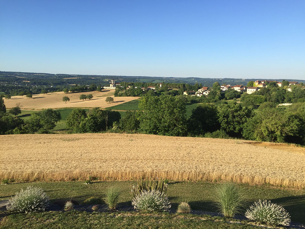 Vue du jardin