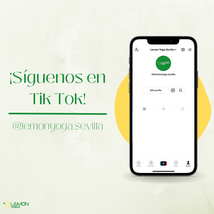 LYS - follow us on tik tok.png