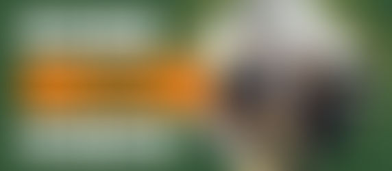 Möchten Sie unserem Team beitreten?