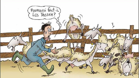 Il court, il court, le berger...