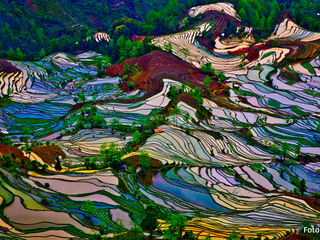 Risterrasser i Yunnan