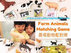 農場動物配對樂遊戲 - 幼兒生物 / 語言