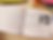 ree