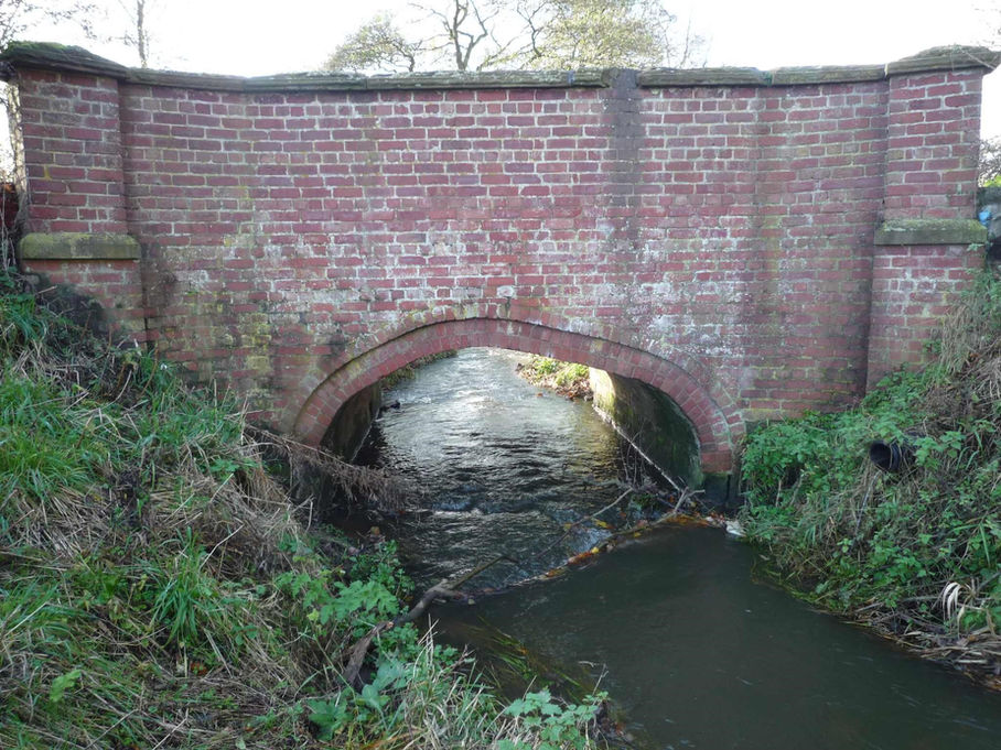 CEH - Pownall Brow 1.jpg