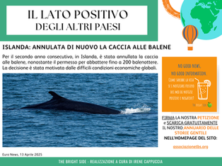 Islanda: annullata la caccia alle balene