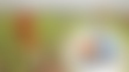 1,050 கிராமங்களில் இலவச வைபை வசதி