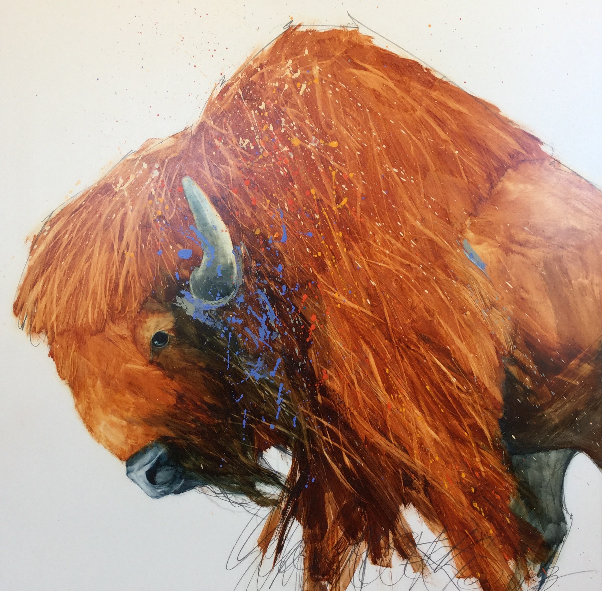 Buffalo Blues - Fundraiser