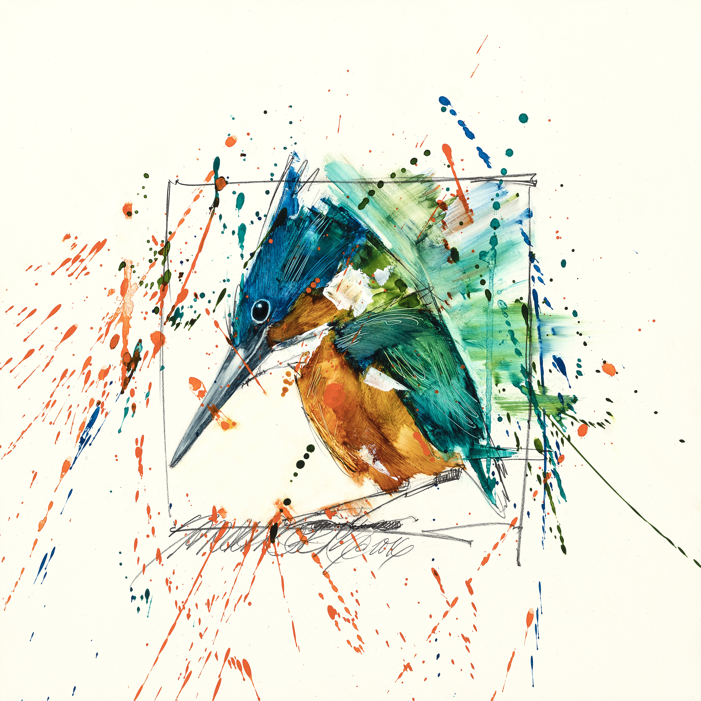 Amazon Kingfisher