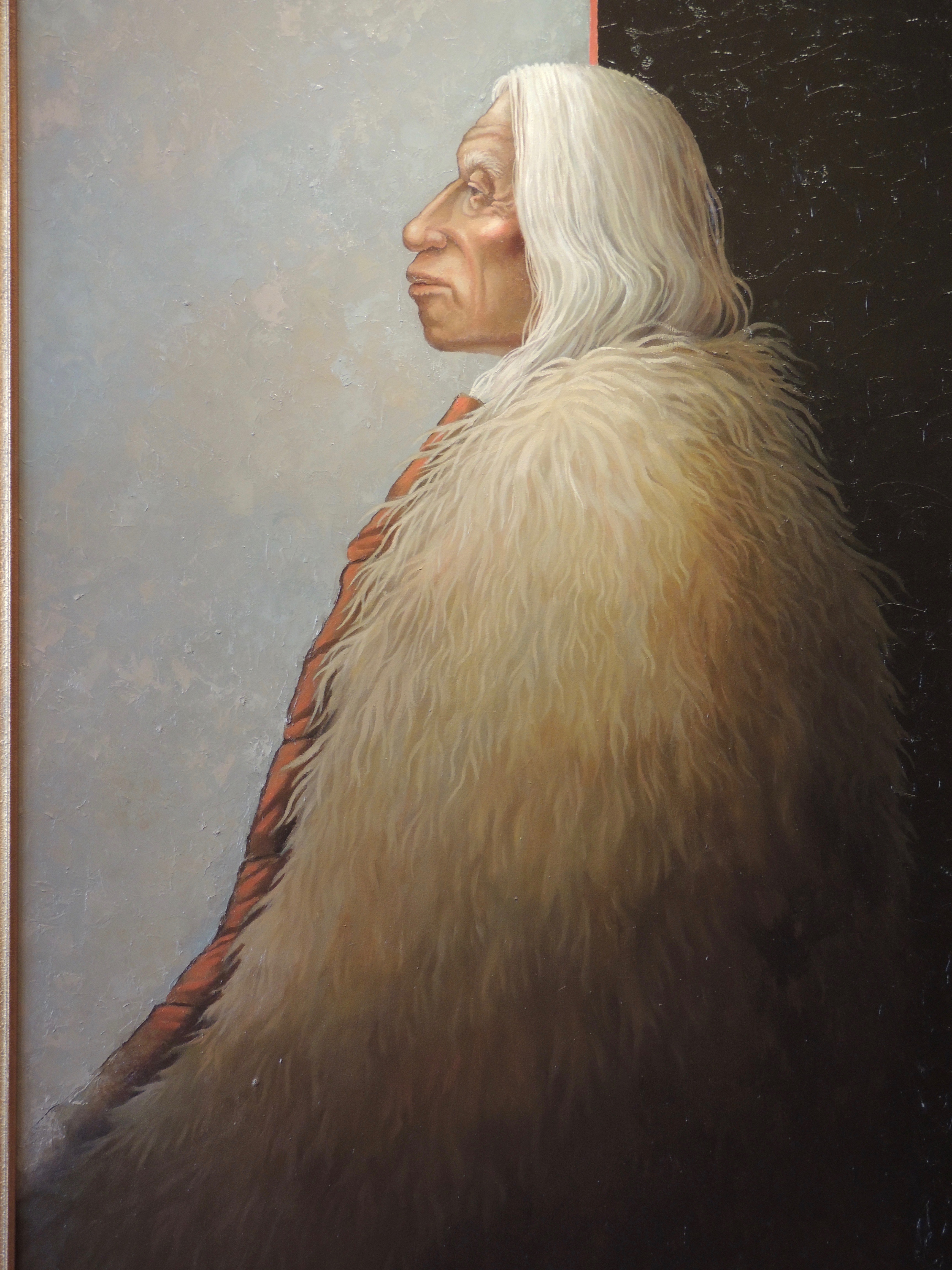 Bear Robe