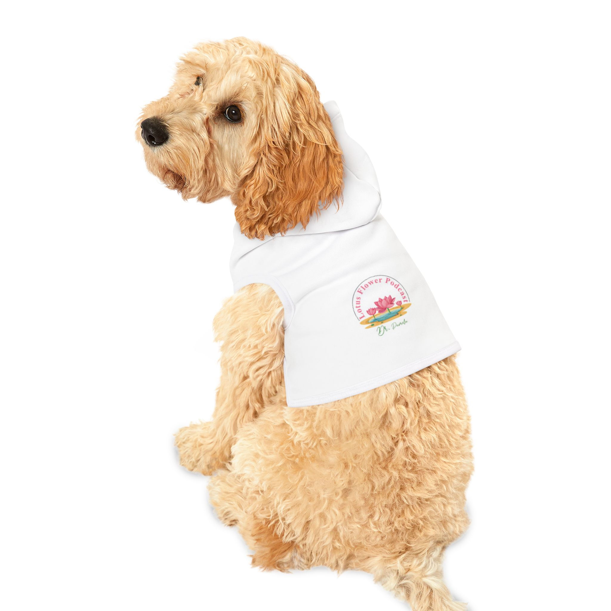 Pet Hoodie