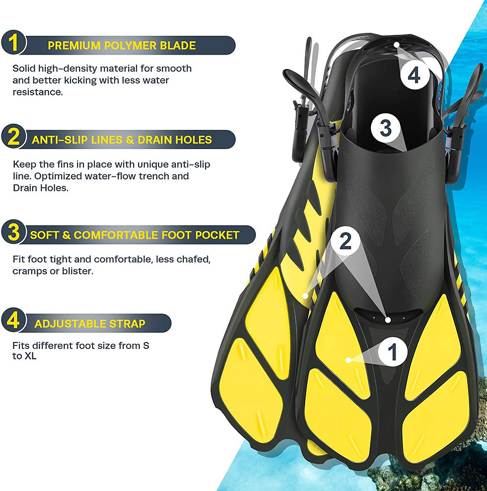 Thumbnail: ZEEPORTE Mask Fin Snorkel Set with Adult Snorkeling Gear, Panoramic View Diving