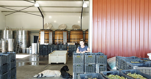 Sam in cellar with dog and grapes.jpeg